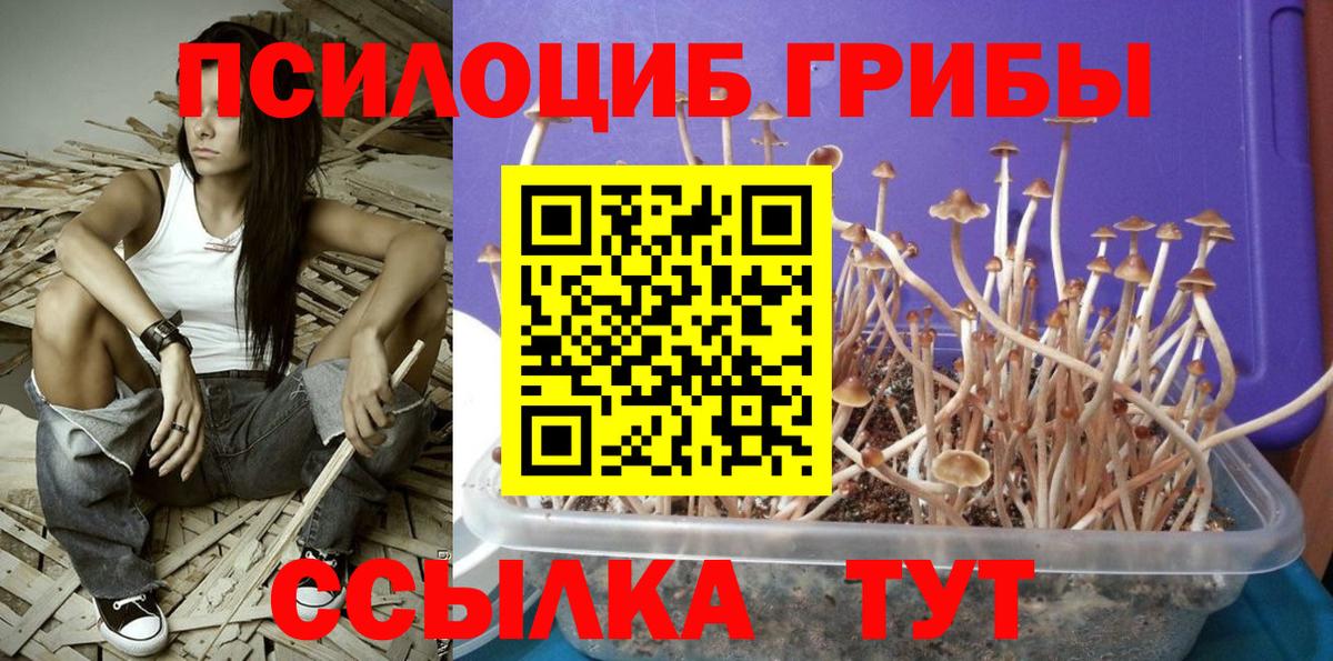 Псилоцибиновые грибы мухоморы  Вход с VPN  наркота  Богородицк 